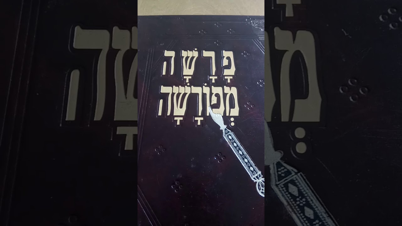 הוצאת ספר תורה בשבת