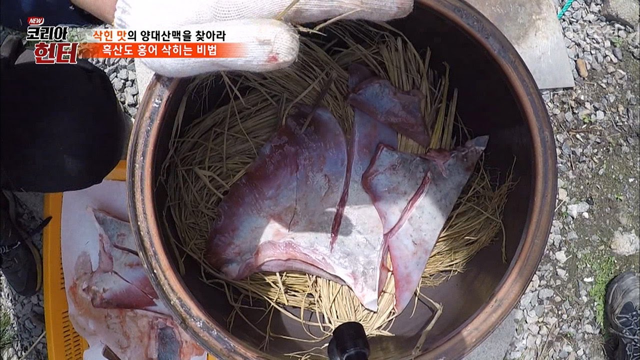 흑산도 홍어 삭히는 과정 대공개! [뉴 코리아 헌터] 48회 20170501