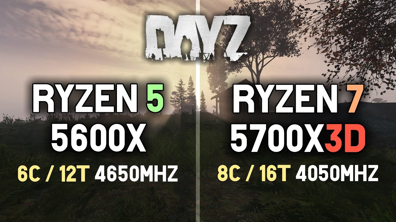 Ryzen 5 5600X vs Ryzen 7 5700X3D || DayZ Benchmarks 1080P
