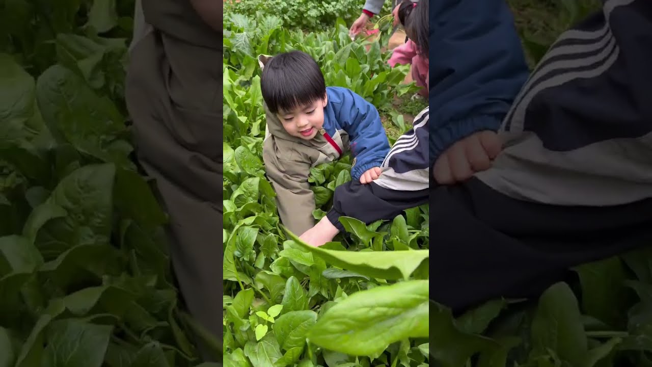 Льюэн помогает своим родителям передать деньги прабабушке! Его первая реакция на петарду?