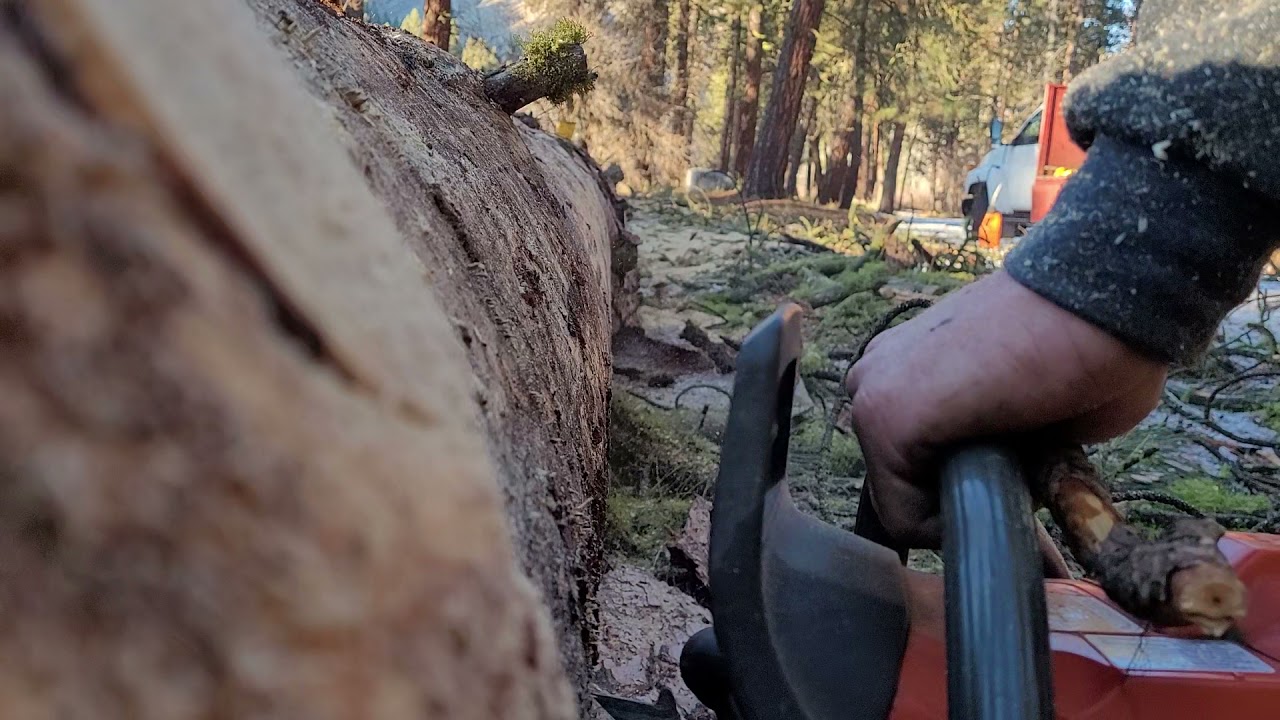 husqvarna 385xp vs 372xpw