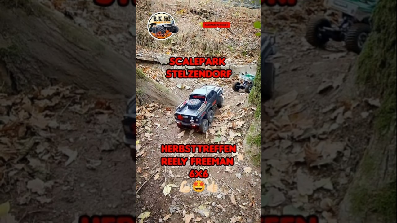 Reely Freeman 6×6 Scalepark  Stelzendorf Crawling 