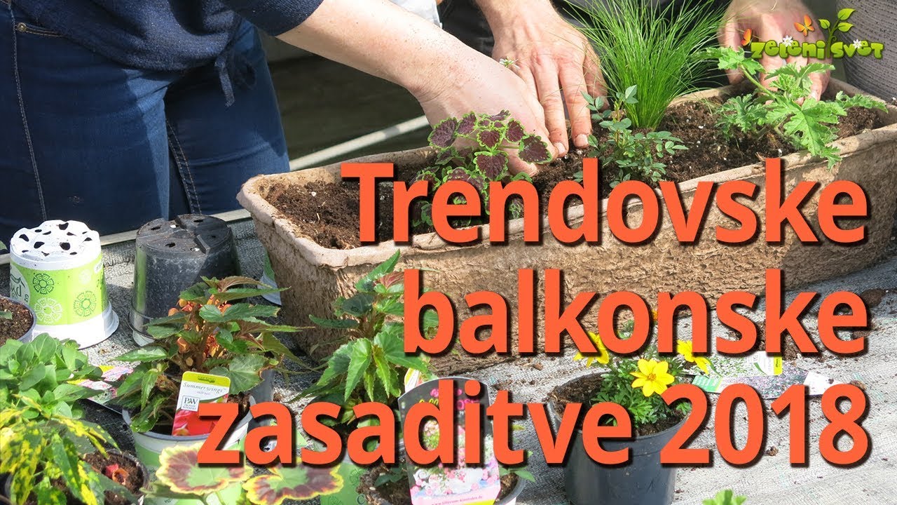 Trendovske balkonske zasaditve