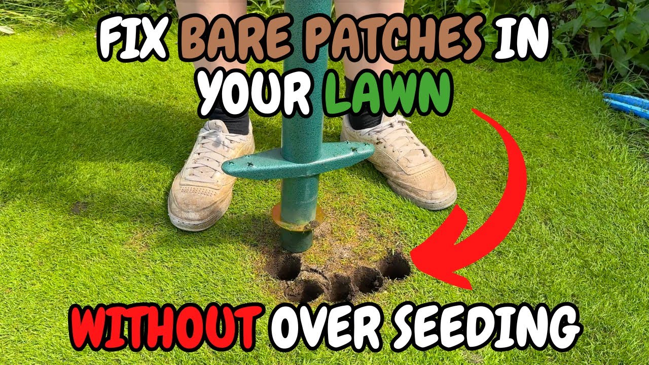 How to FIX any PATCH in your LAWN without over seeding!