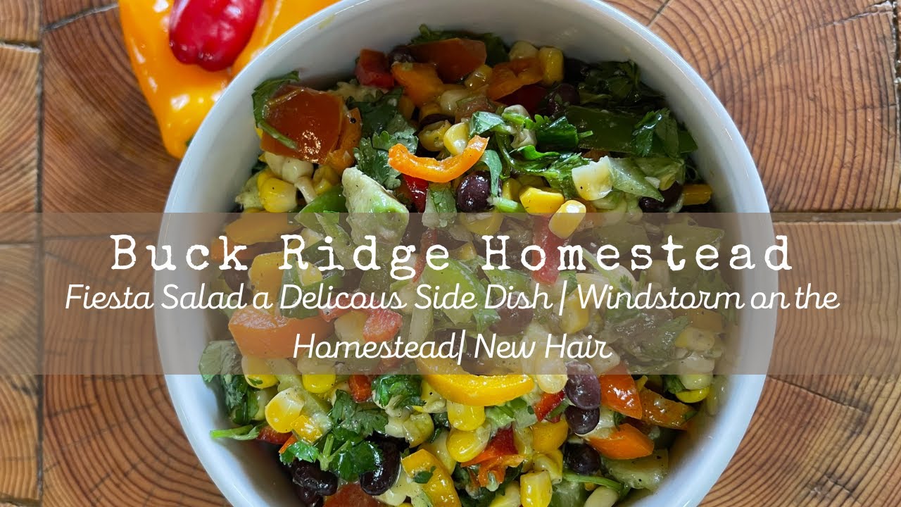 Make Fiesta Salad a Delicious Side Dish | Crazy Windstorm on the Homestead | New Hair