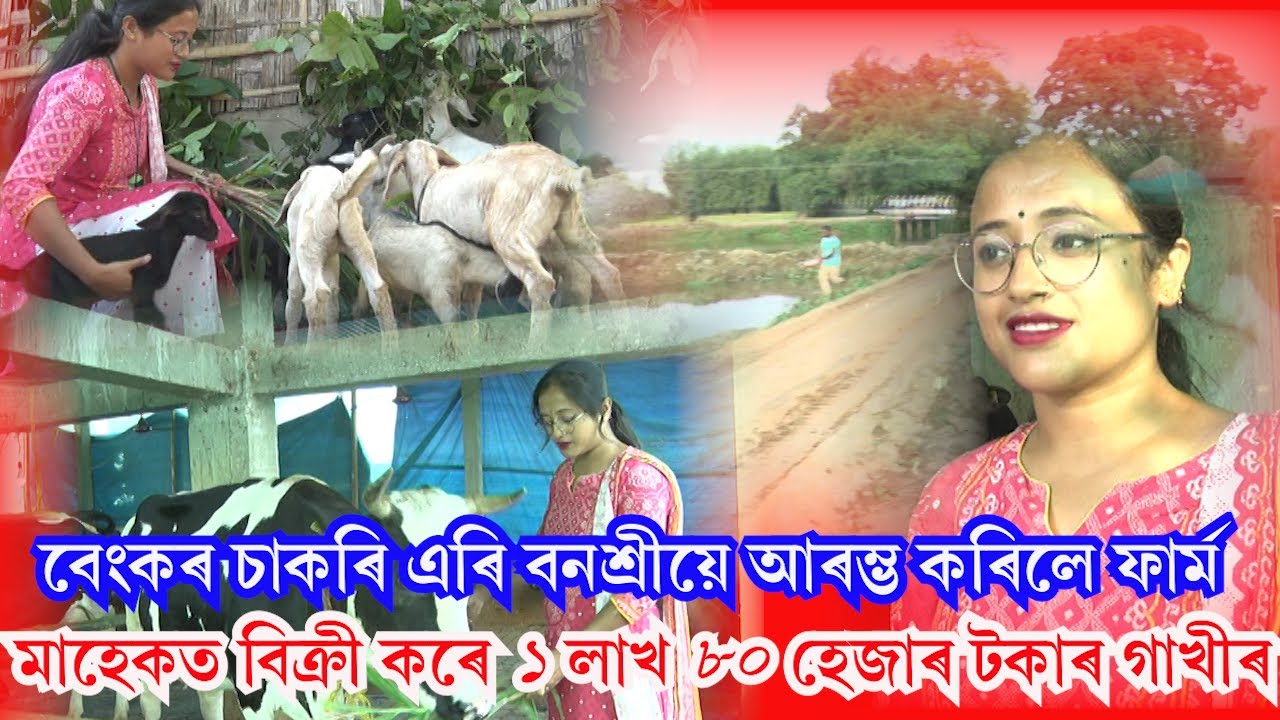 বেংকৰ চাকৰি এৰি বনশ্ৰীয়ে আৰম্ভ কৰিলে ফাৰ্ম integrated farming in assam