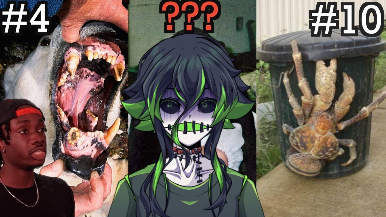 DISTURBING REASONS WHY I PREFER STAYING INSIDE! (CASUAL GEOGRAPHIC REACTION)