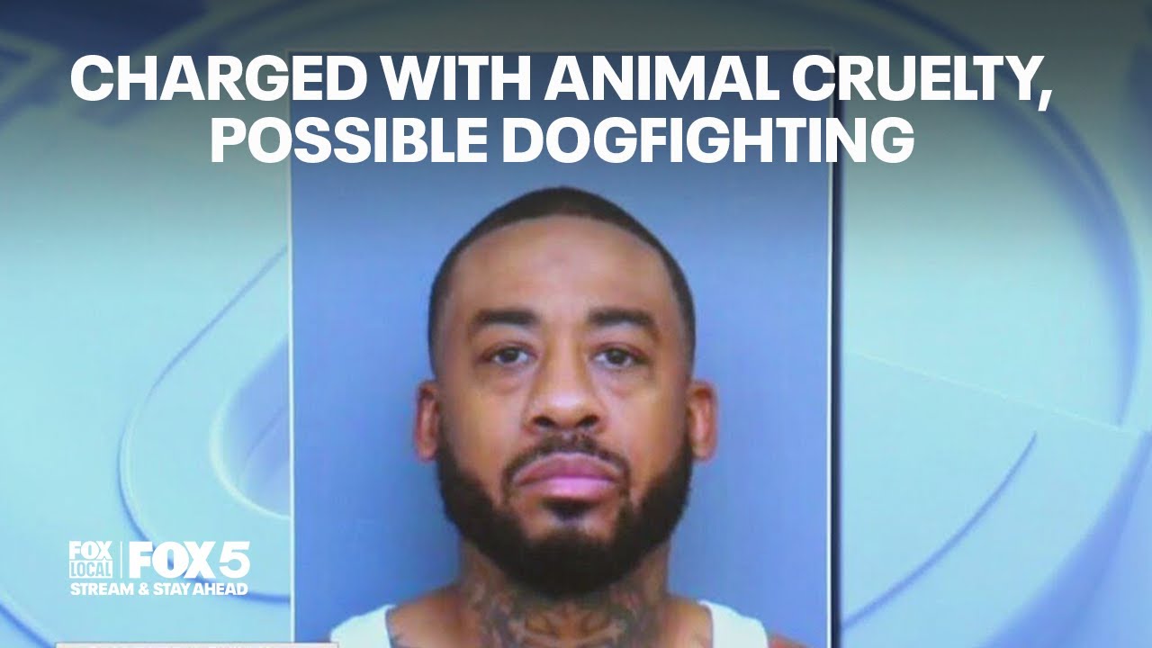 Man charged with animal cruelty, possible dogfighting after dogs found in TERRIBLE conditions