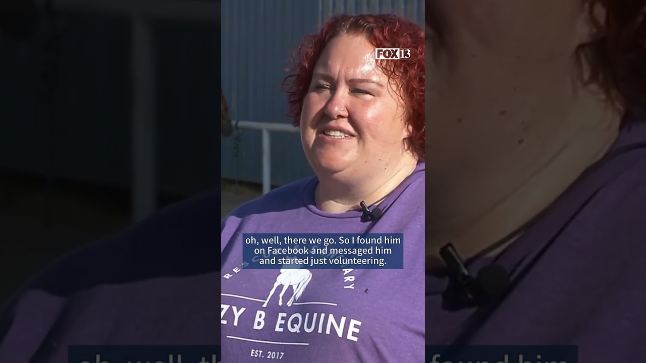 Meet the family transforming lives for neglected horses at Lazy B Equine Rescue