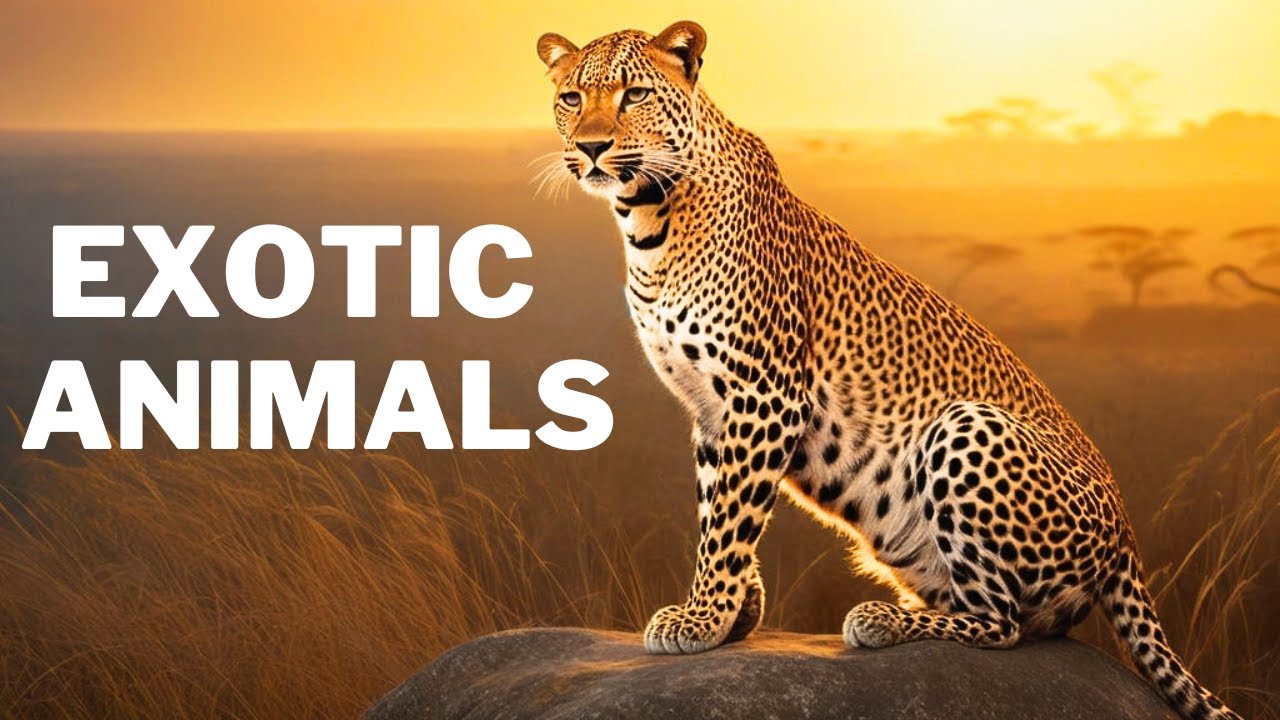 Curiosities from the Animal Kingdom: fascinating facts you didn&rsquo;t know
