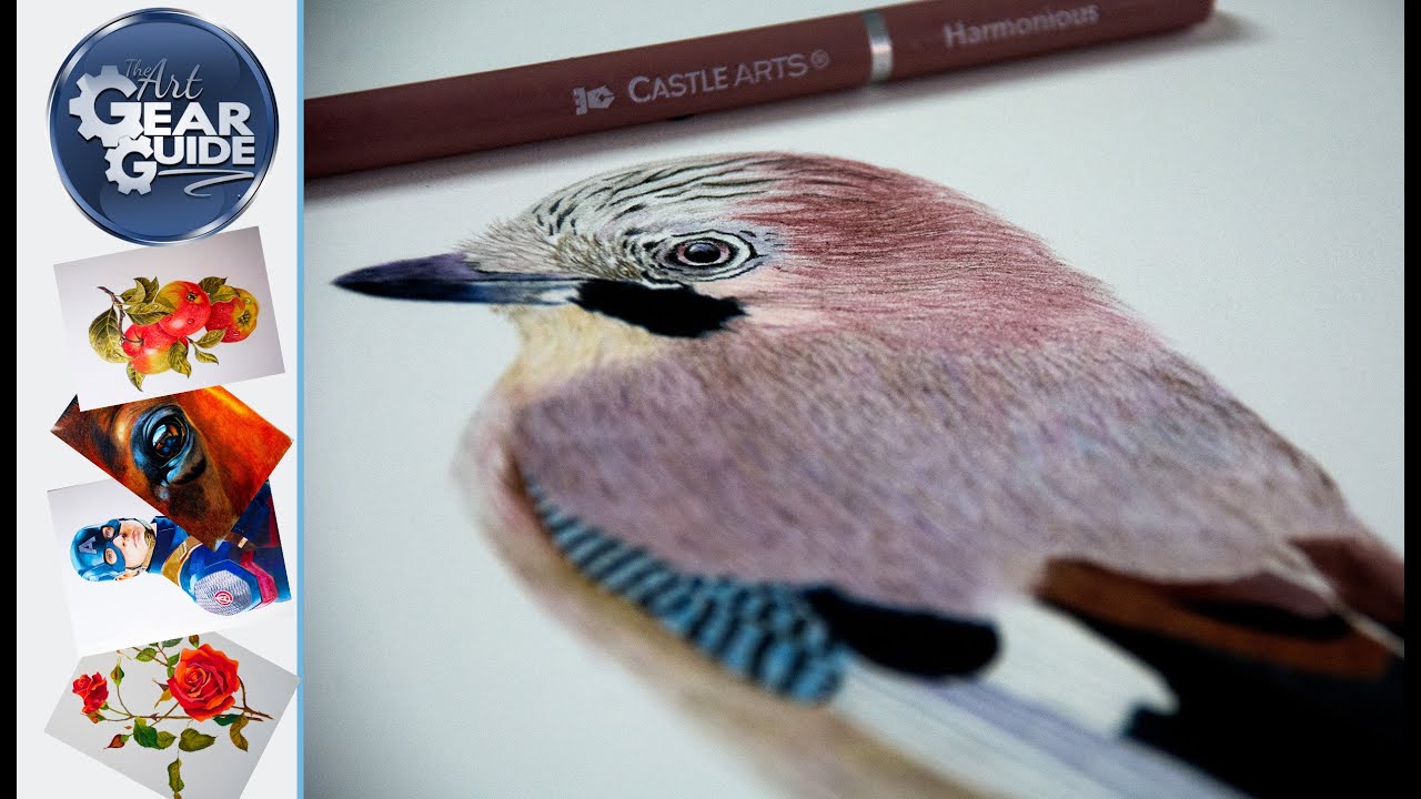 Eurasian Jay Bird Artwork Using The New Castle Arts Harmonious Coloured Pencils