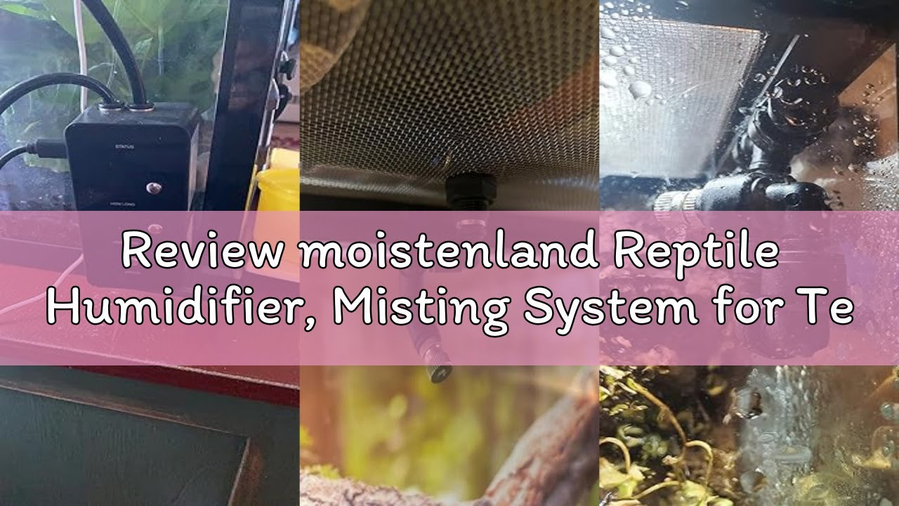 Review moistenland Reptile Humidifier, Misting System for Terrariums, Automatic with Adjustable Spra