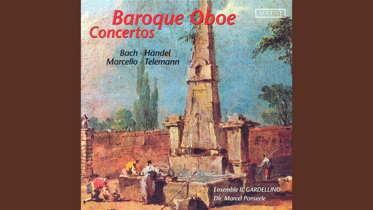 Oboe Concerto in D Minor, S. Z799: I. Andante e spiccato