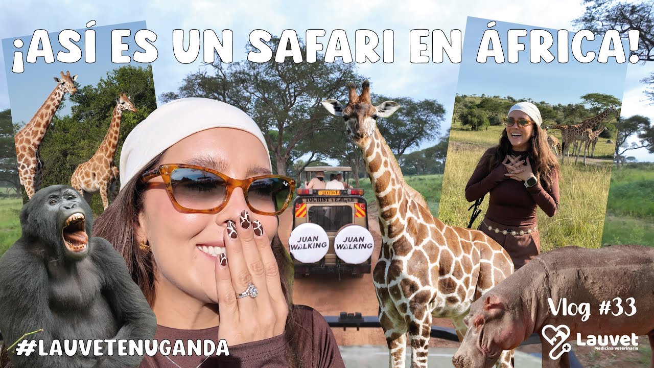 Así es un safari en África | UGANDA es un paraíso - Lauvet