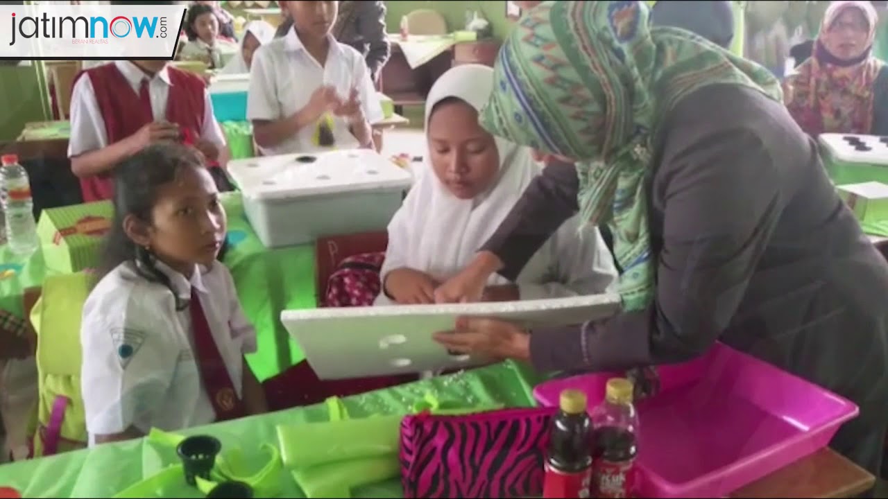 Dindik Surabaya Ajari Siswa Menanam Metode Hidroponik