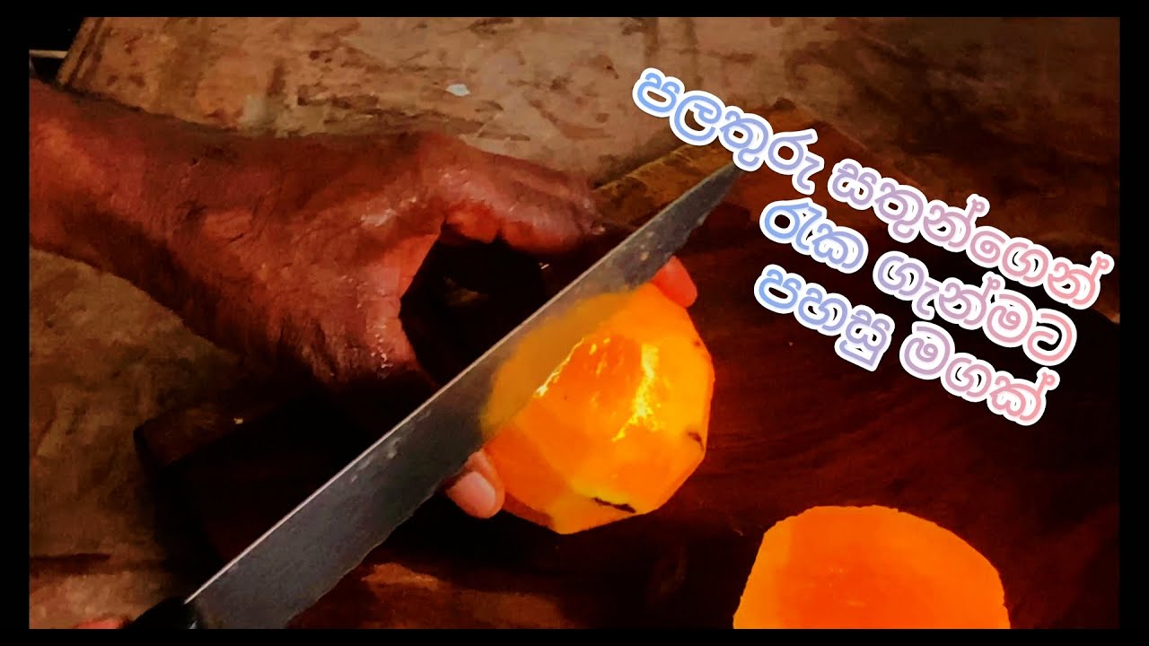 පලතුරක් සතුන්ගෙන් රැක ගැනීමට පහසු මගක්