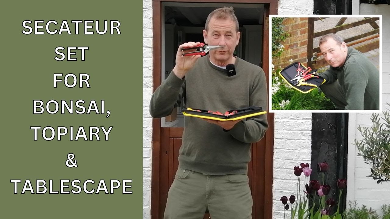 Secateurs for Bonsai and 'Tablescape' Topiary