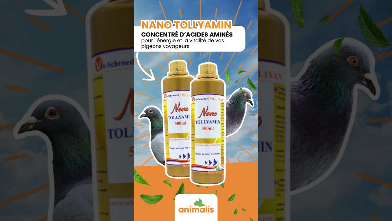 Nano Tollyamin - Animalis