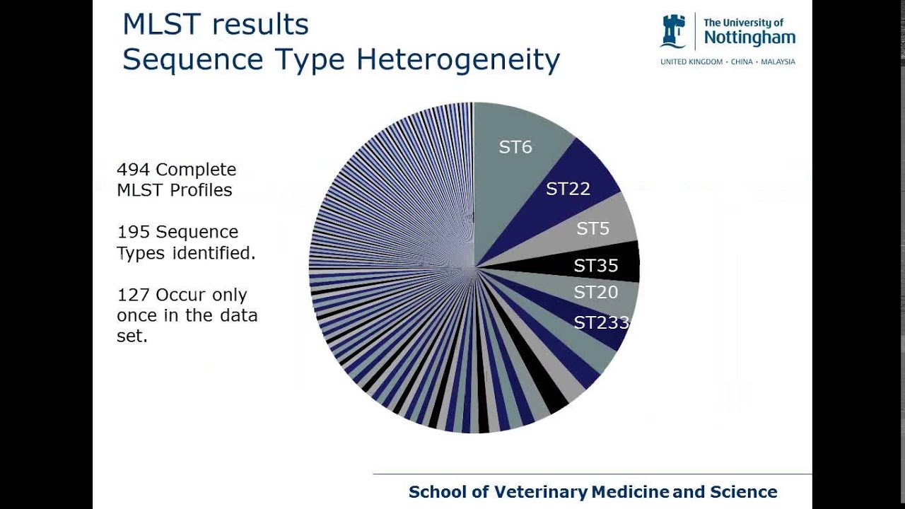 Understanding the epidemiology of strep. uberis mastitis - AHDB Dairy