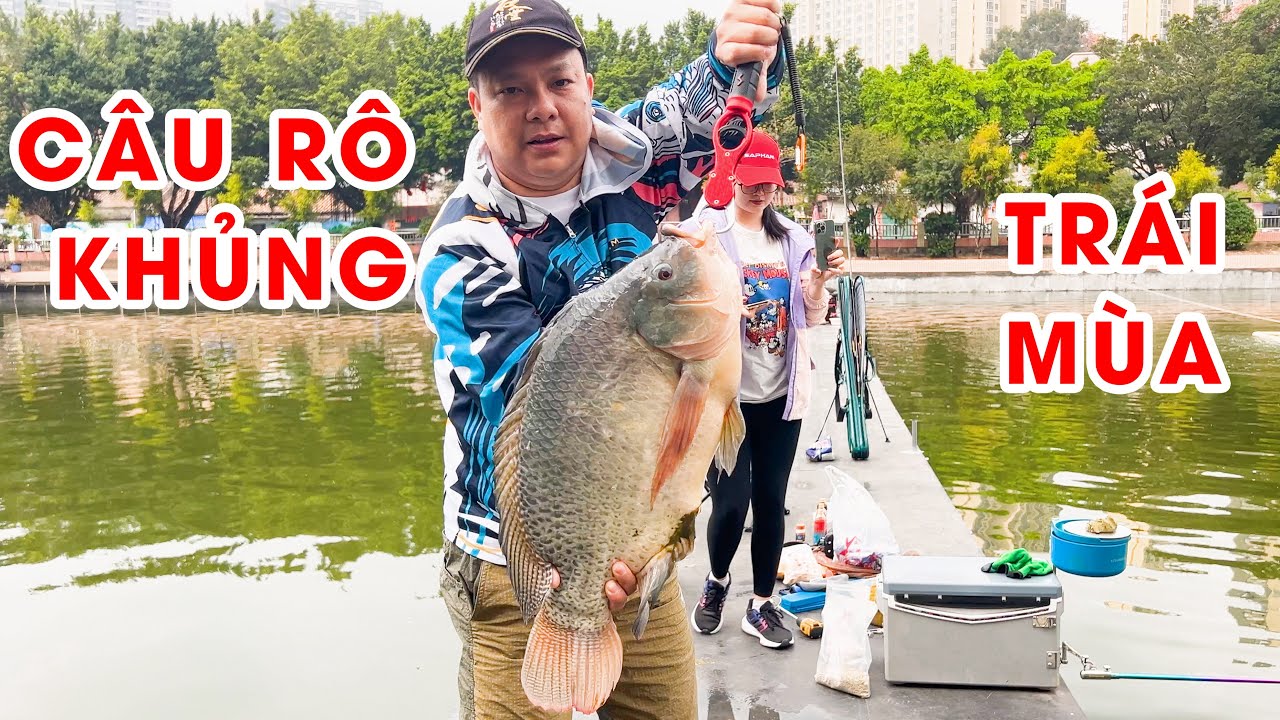 Câu RÔ PHI KHỦNG trái mùa