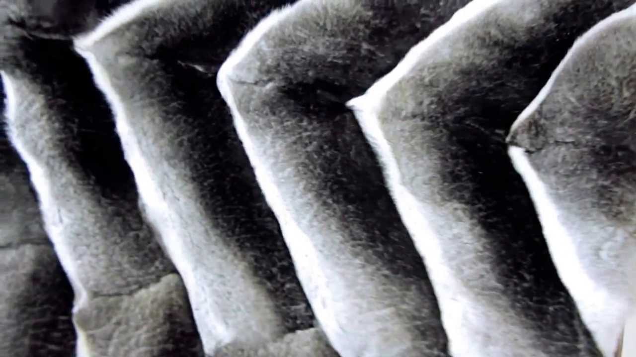rex vs chinchilla fur