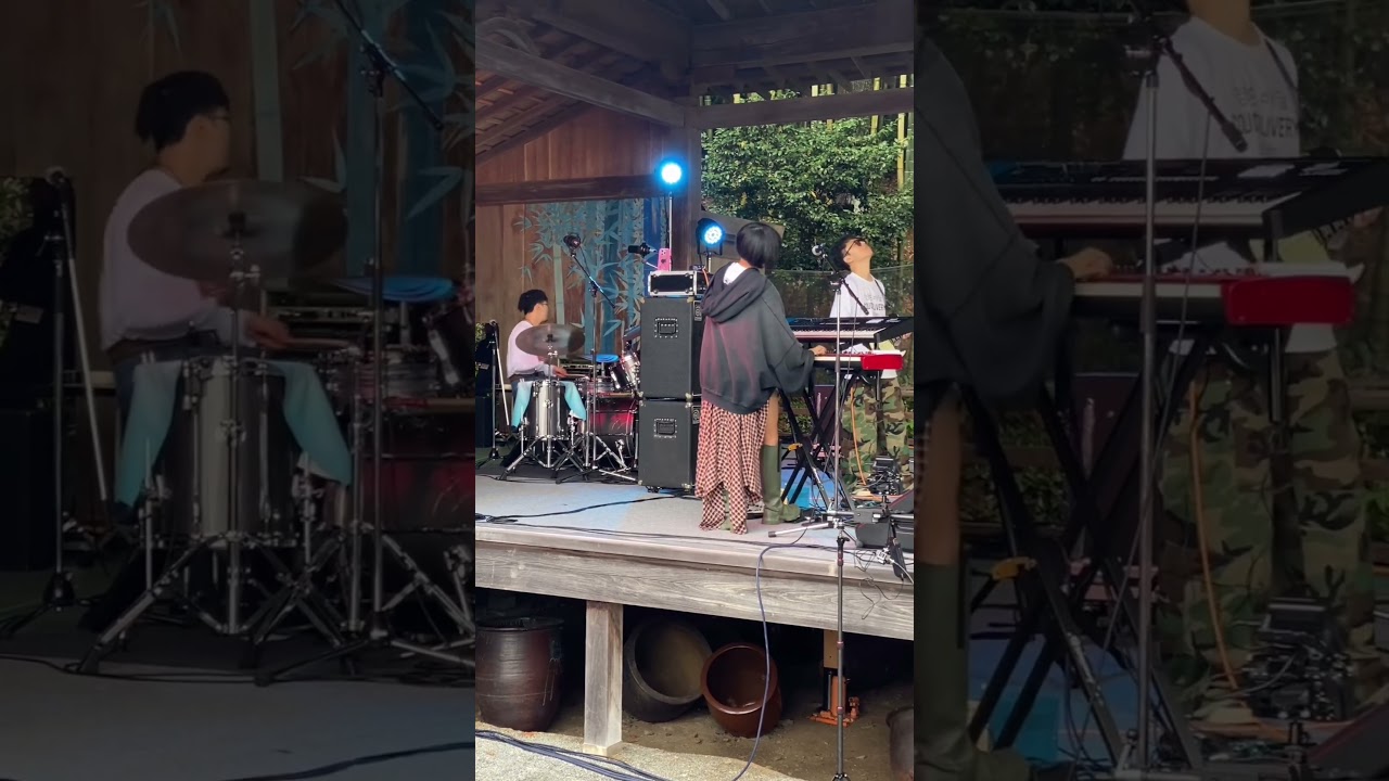 Soul delivery - Nugs in Wood Vibration 2025