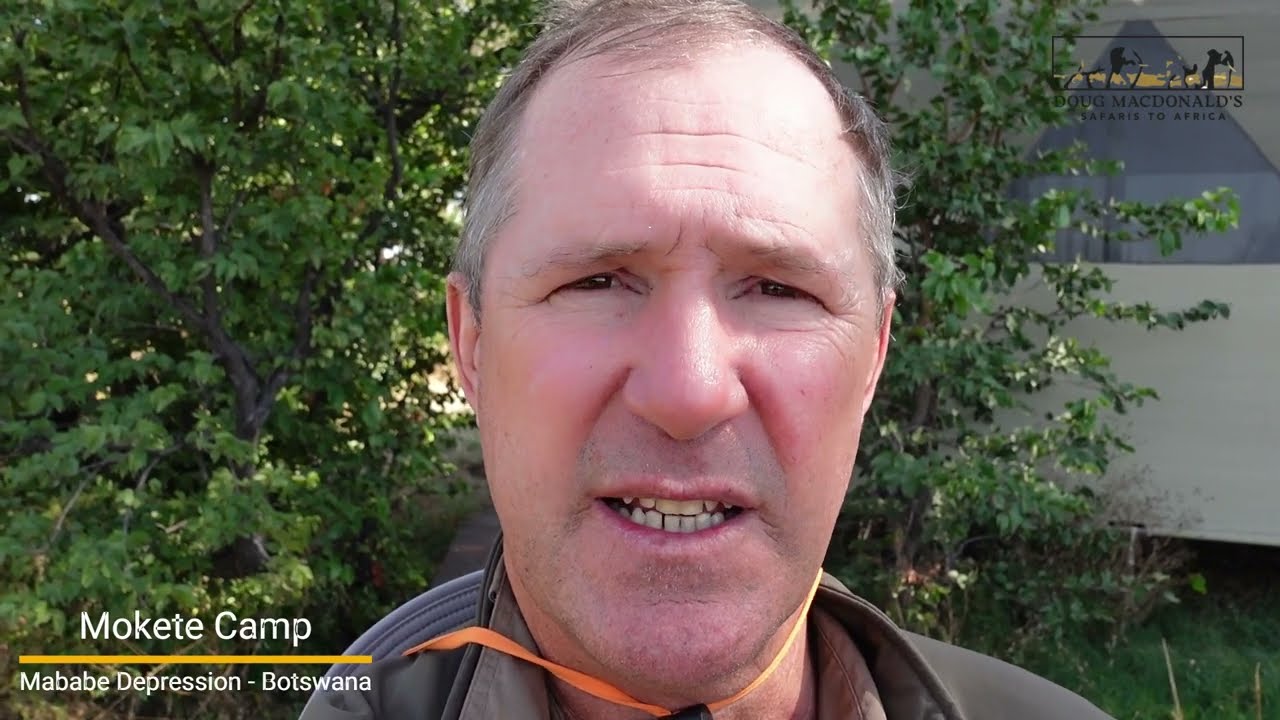 Mokete Camp   Mababe Depression Botswana