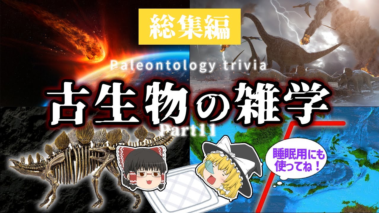 【睡眠用・ゆっくり解説】古代生物の雑学 Part11　白亜紀大絶滅/隕石/落札額など【広告最初のみ　途中広告なし】