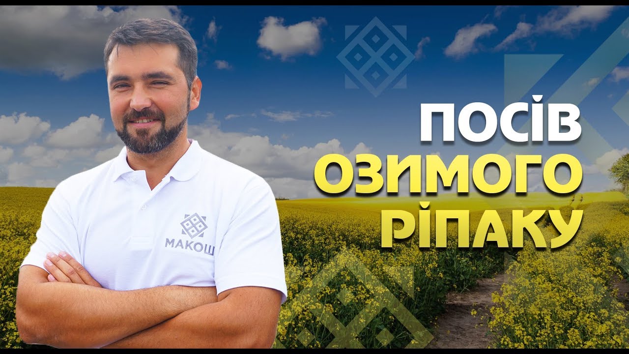 Якісний посів озимого ріпаку. Рекомендації від агронома-експерта компанії Макош