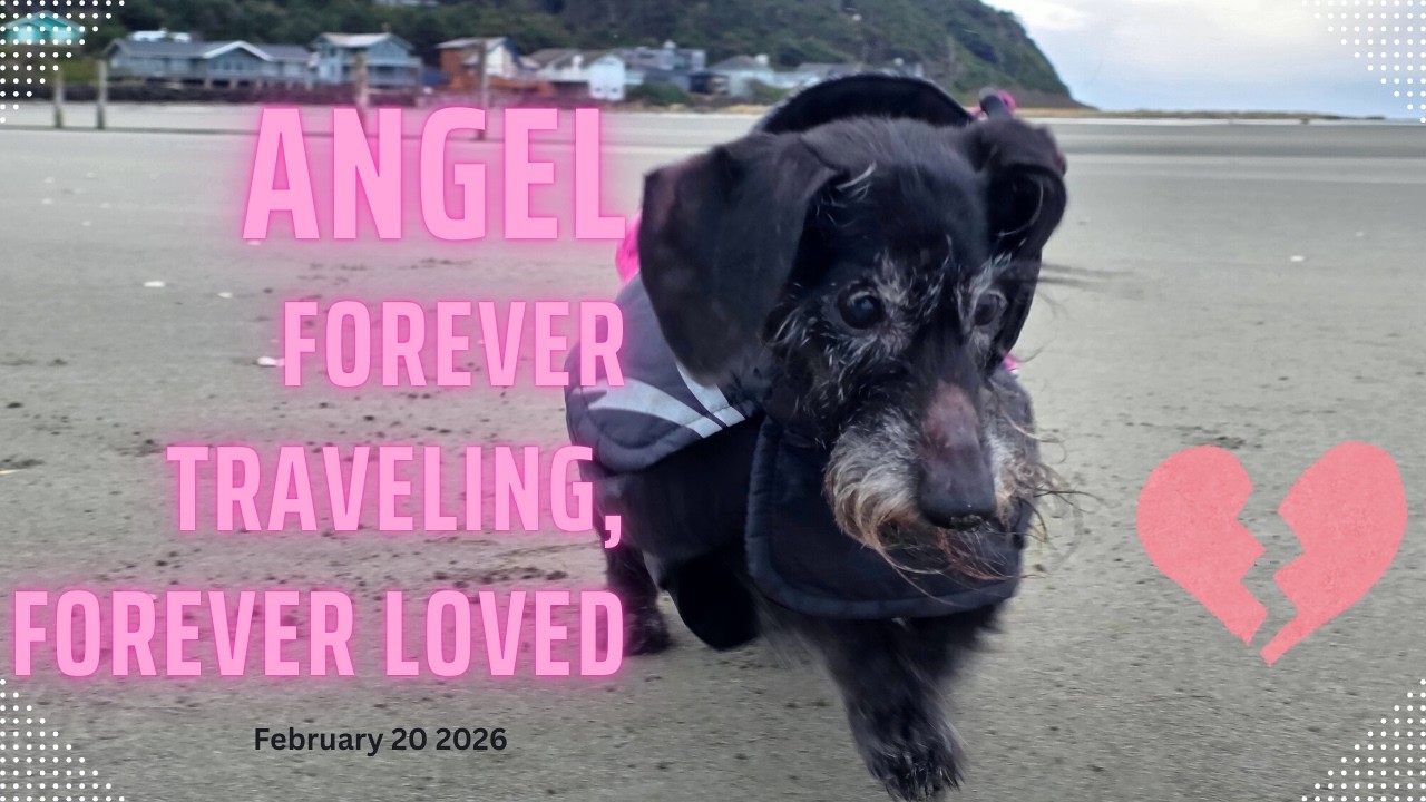 Angel - A little hero to me.