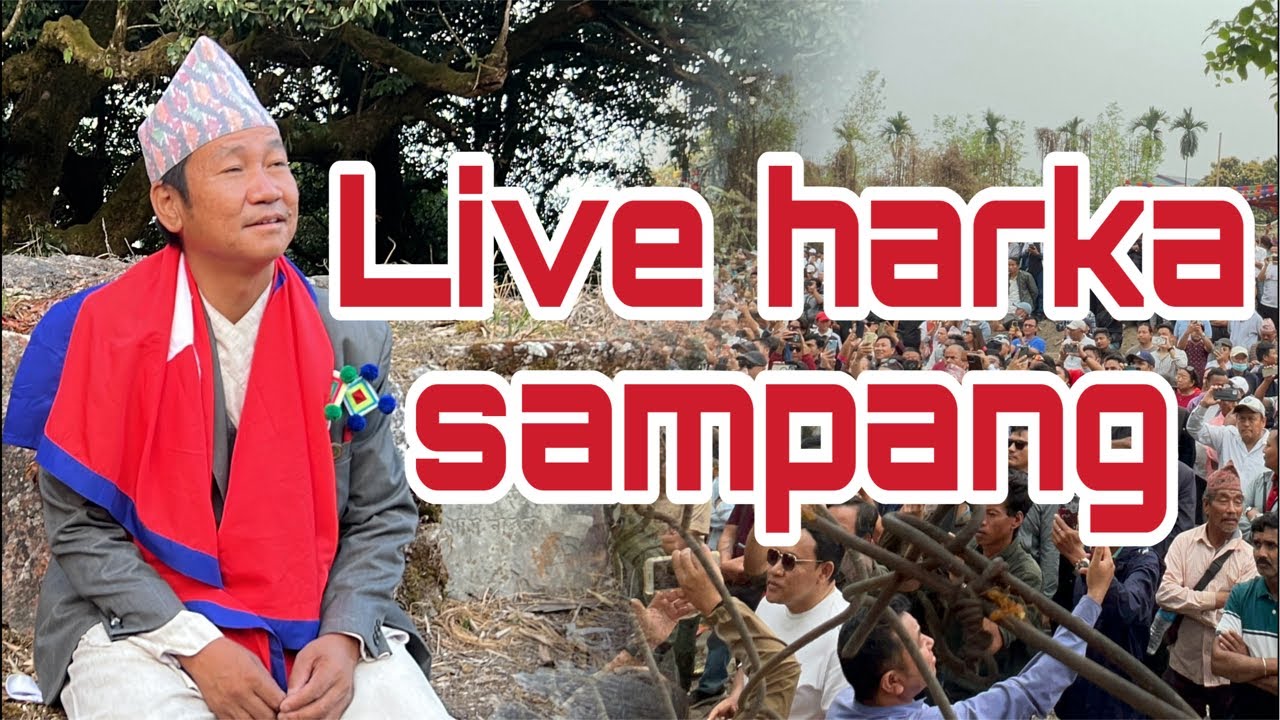 Congratulations live