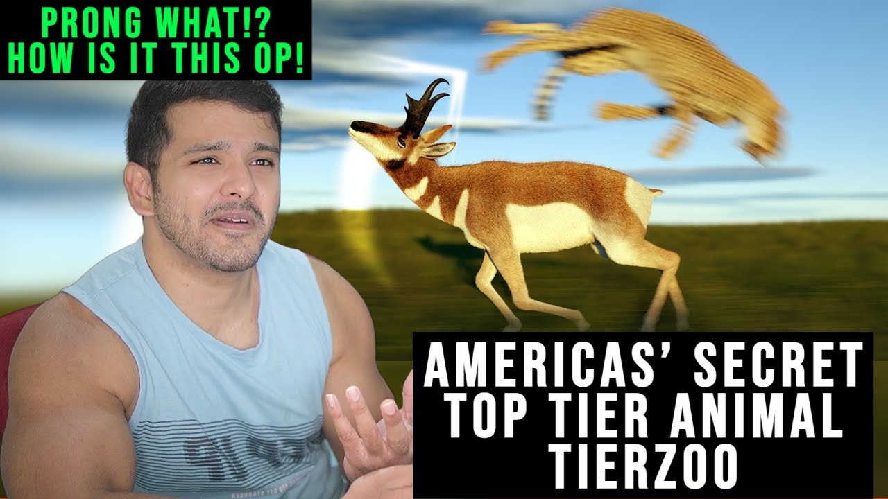 Americas' Secret Top Tier Animal (TierZoo )