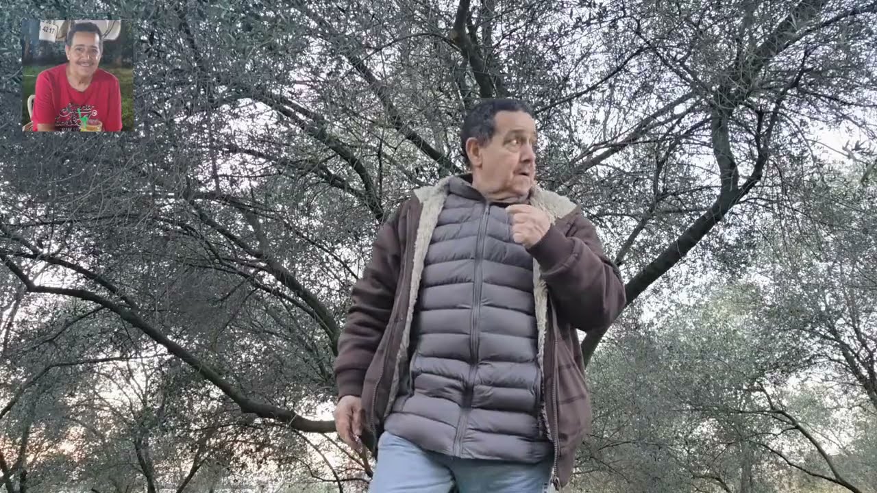 تكلفة النجاح ودفع ضريبة الشهرة.