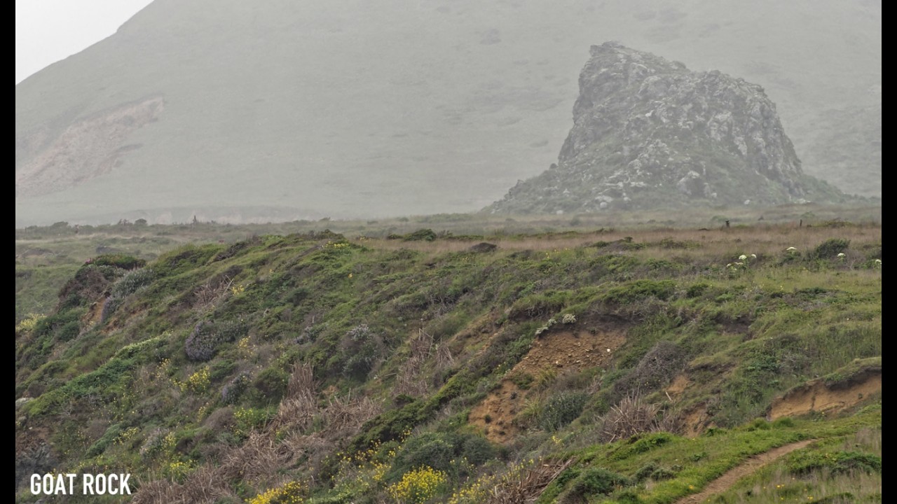 Goat Rock