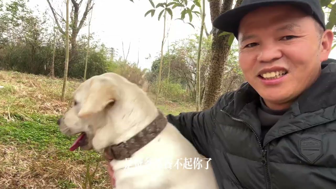 在偏僻的野外遛狗，聊聊被警告拍照，養狗風險變大，對狗的包容度越來越小