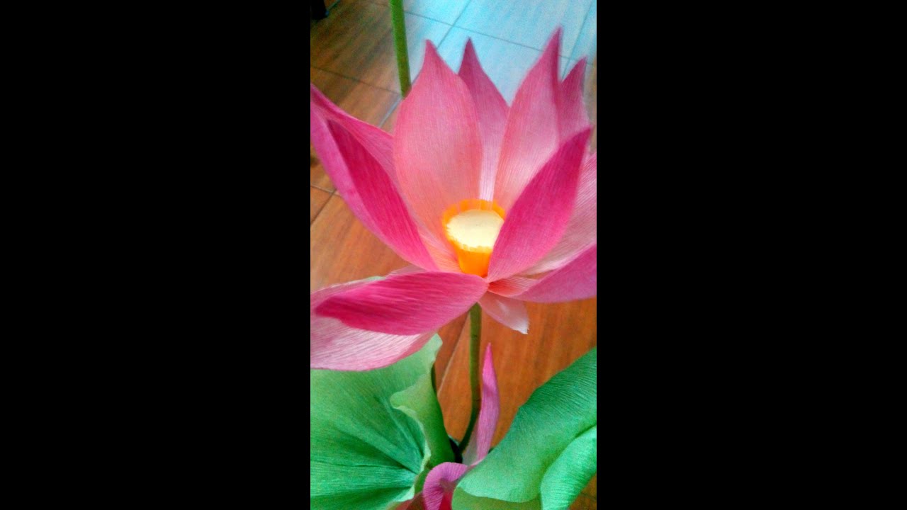 D.I.Y - How to make a Paper flower - Lotus & Leaf Part  I