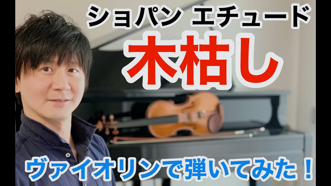 ショパン エチュードOp.25-11「木枯し」をヴァイオリンで弾いてみたChopin Etude 25-11 