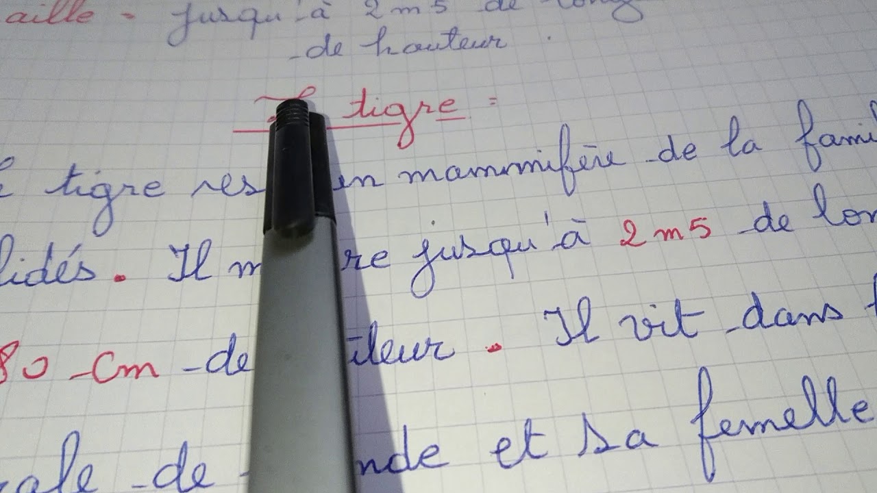 Production écrite sur le
