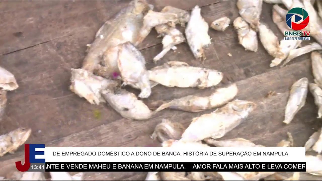 JORNAL DO EMPREENDEDOR [EDIÇÃO (09.02.2026)]