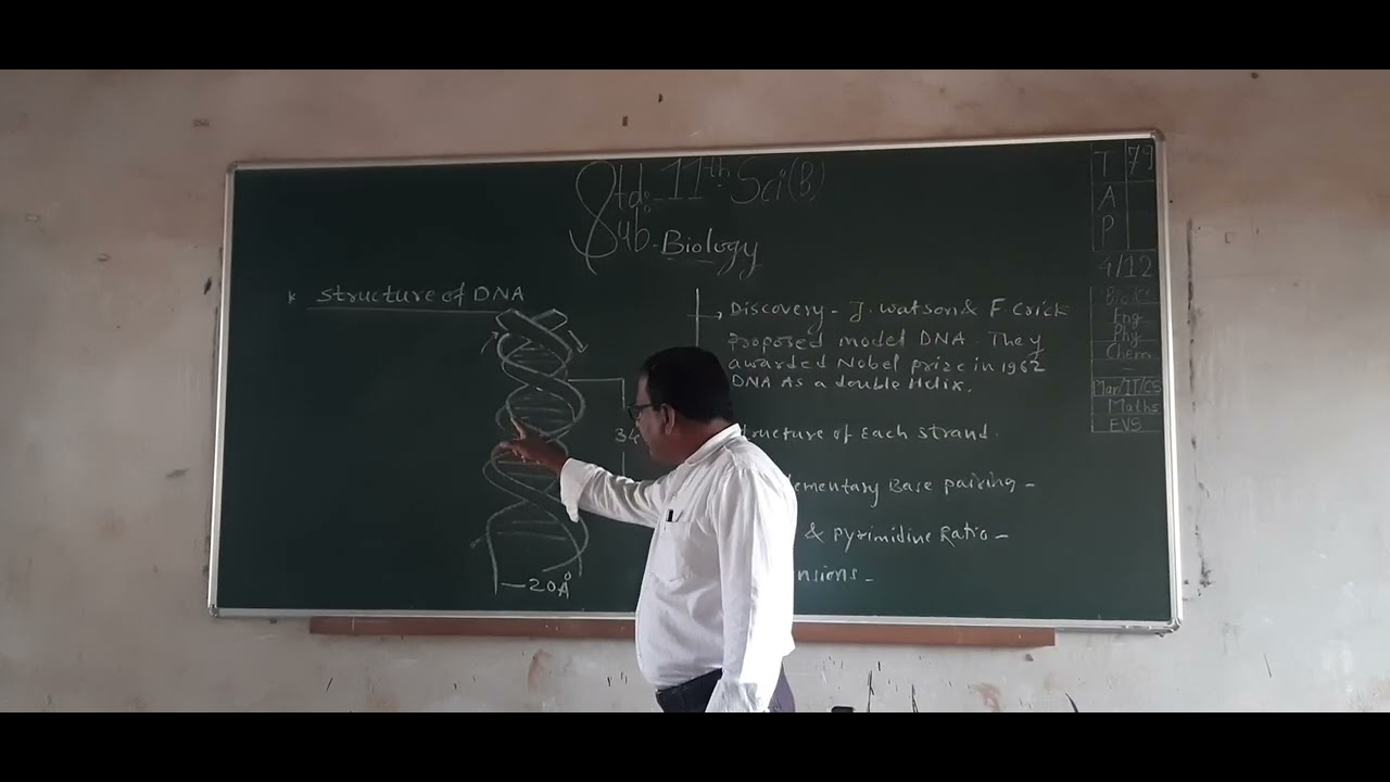 Structure Of DNA #biomolecules 