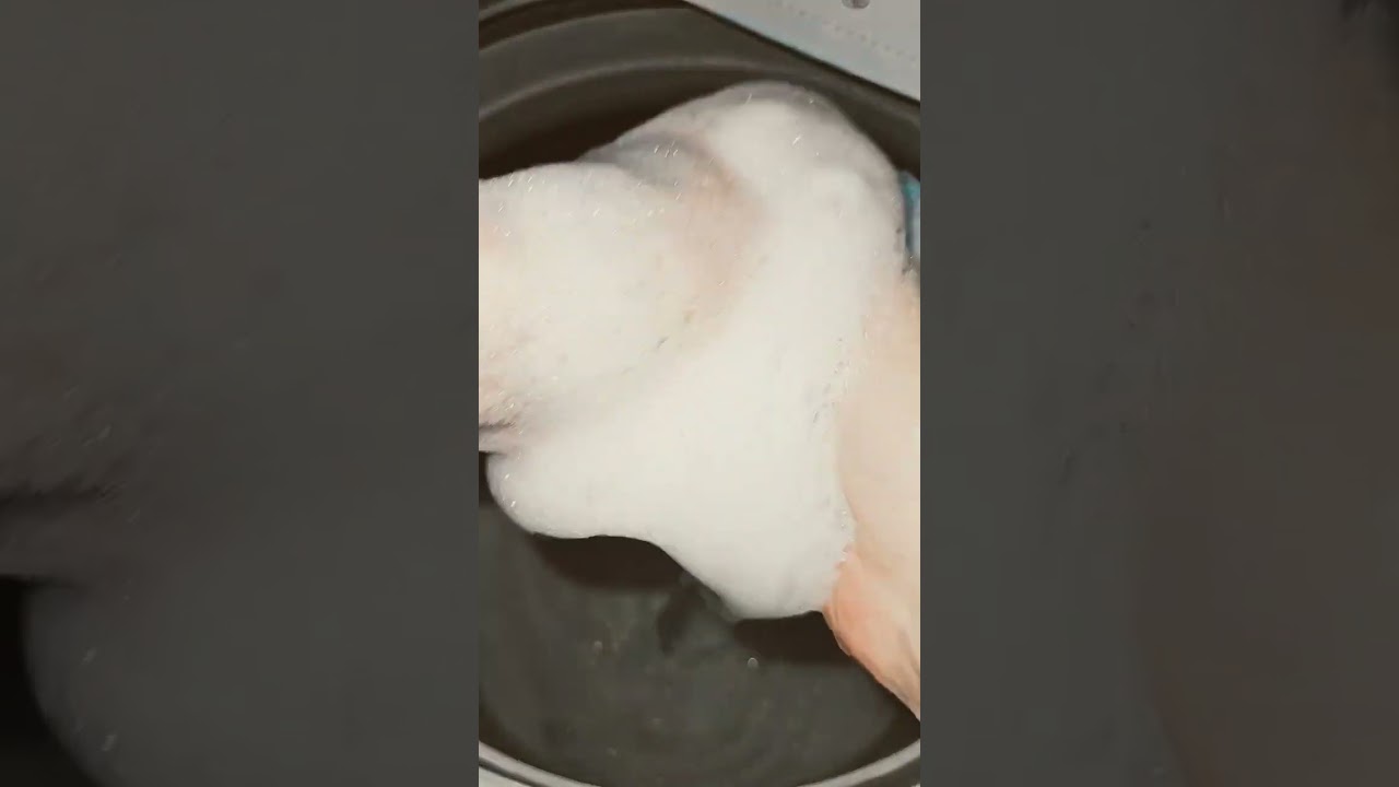 SUDS 💕  Follow On TT #yummy #laundry #soapysqueezing #laundryhack #sudsy #cleaning #obssessed #fyp