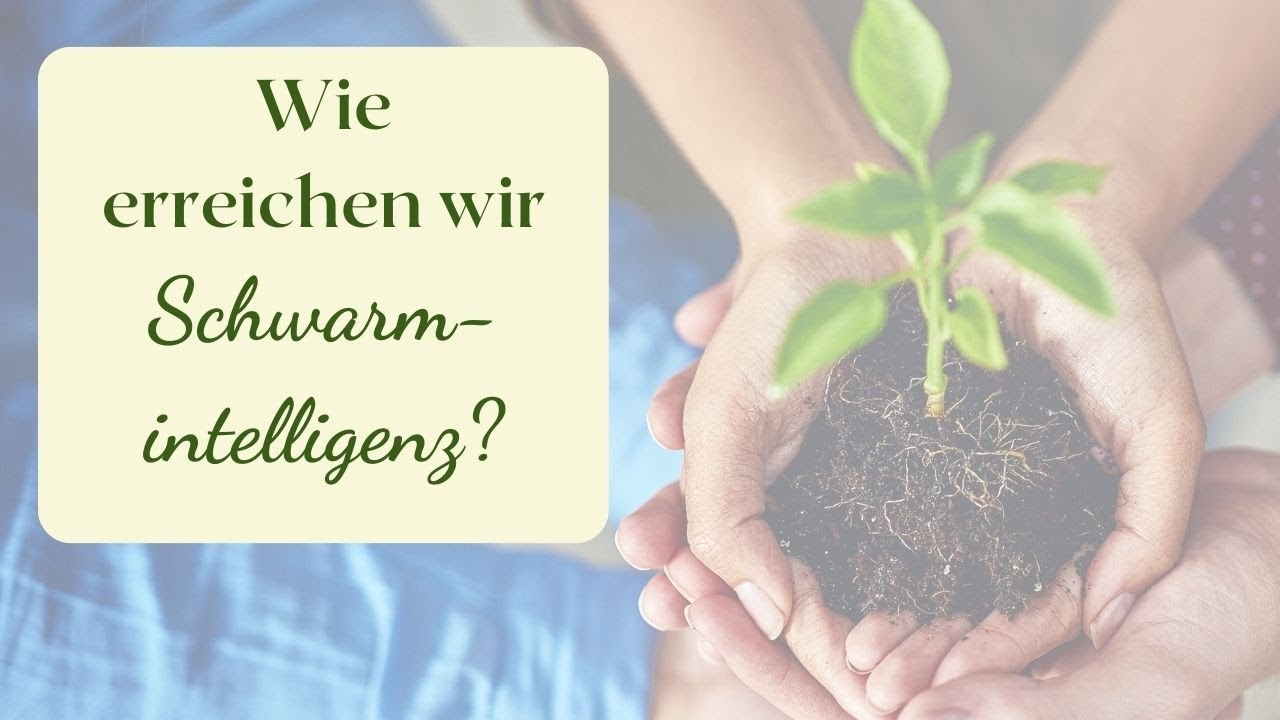 Wie erreichen wir Schwarmintelligenz?