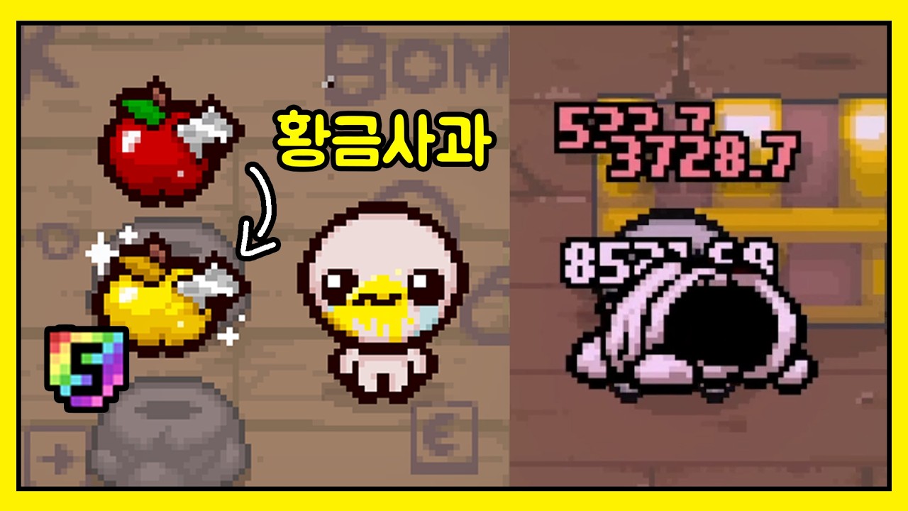 5등급 황금사과 이거 사기다 ㄷ