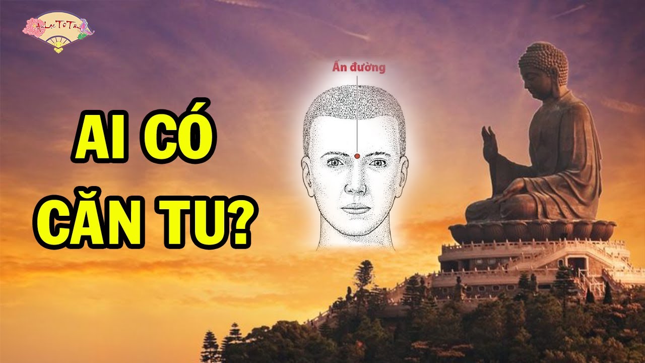 Căn Tu L&agrave; G&igrave;? Những Dấu Hiệu Nhận Biết Gương Mặt Người C&oacute; Căn Tu #cantu #daophat #anlactutam