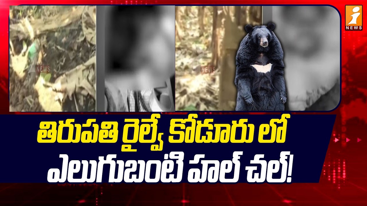 తిరుపతి రైల్వే కోడూరు లో ఎలుగుబంటి హల్ చల్! | Tirupati Railway Koduru Bear Hulchal | iNews