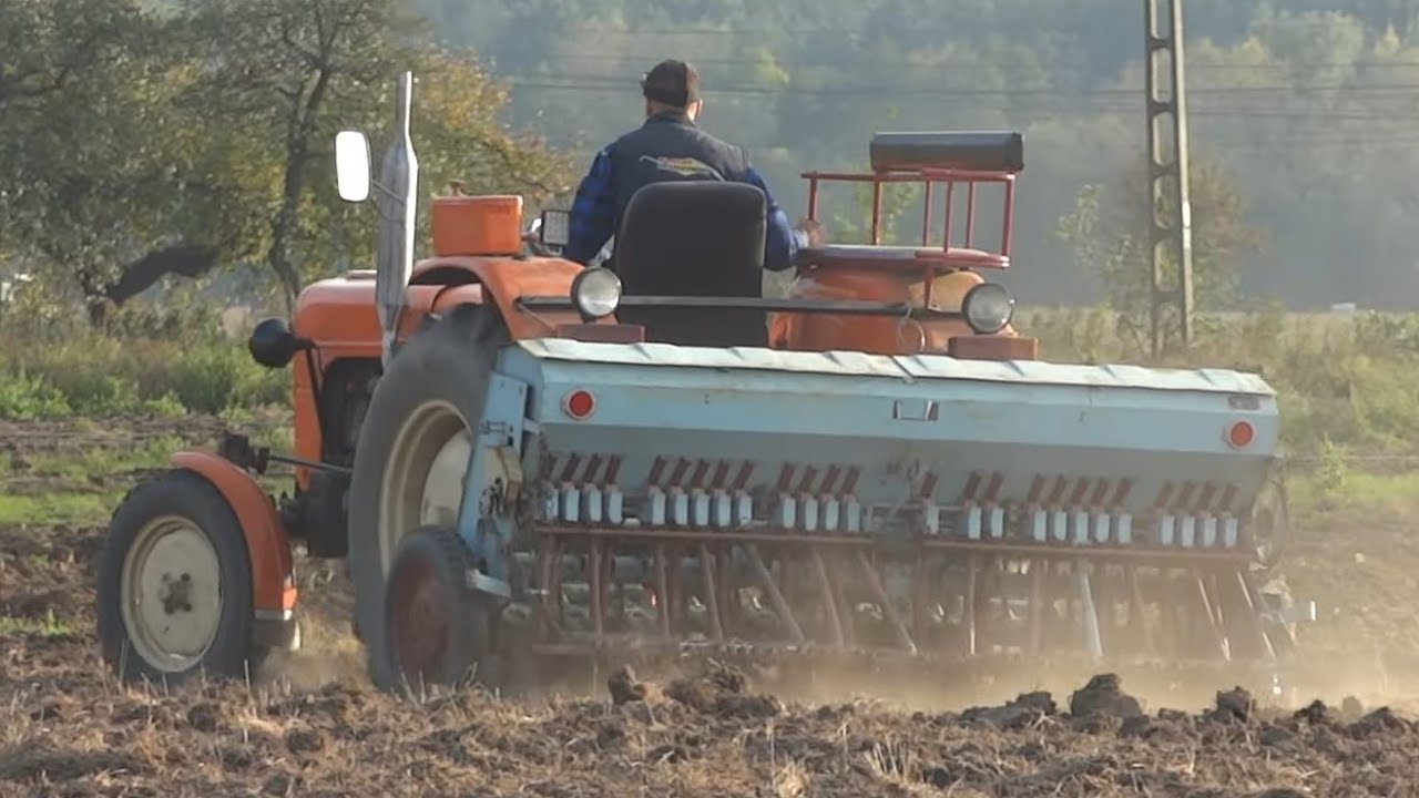 Siew poplonu 2022🌱 Rzodkiew oleista 🌱 Ursus c 4011 + siewnik🚜 Gospodarstwo od Zera 🎥