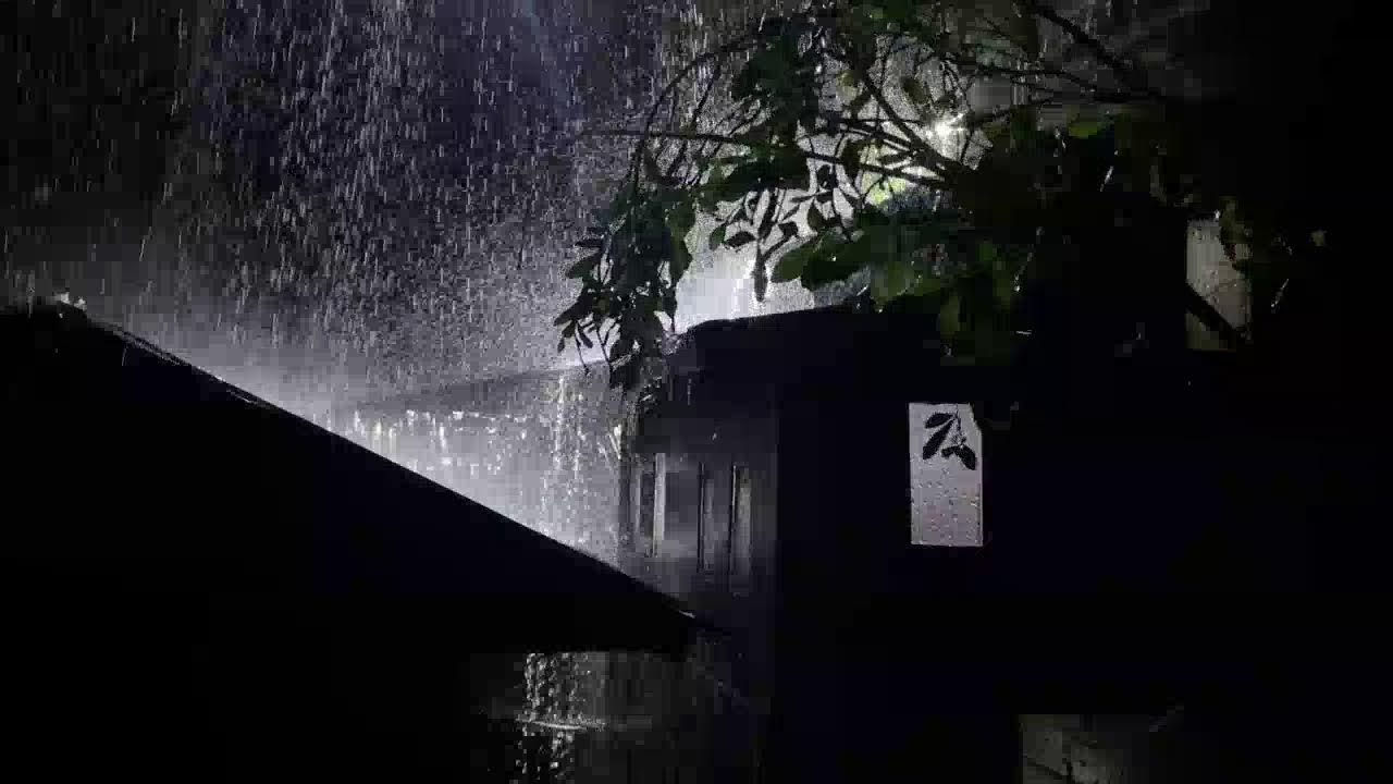 ASMR Heavy Rain on Tin Roof | Relax & Sleep Fast