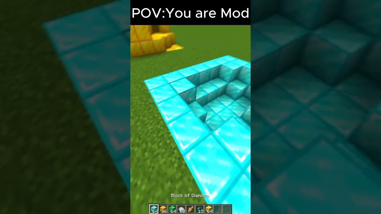 Minecraft meme (tas)