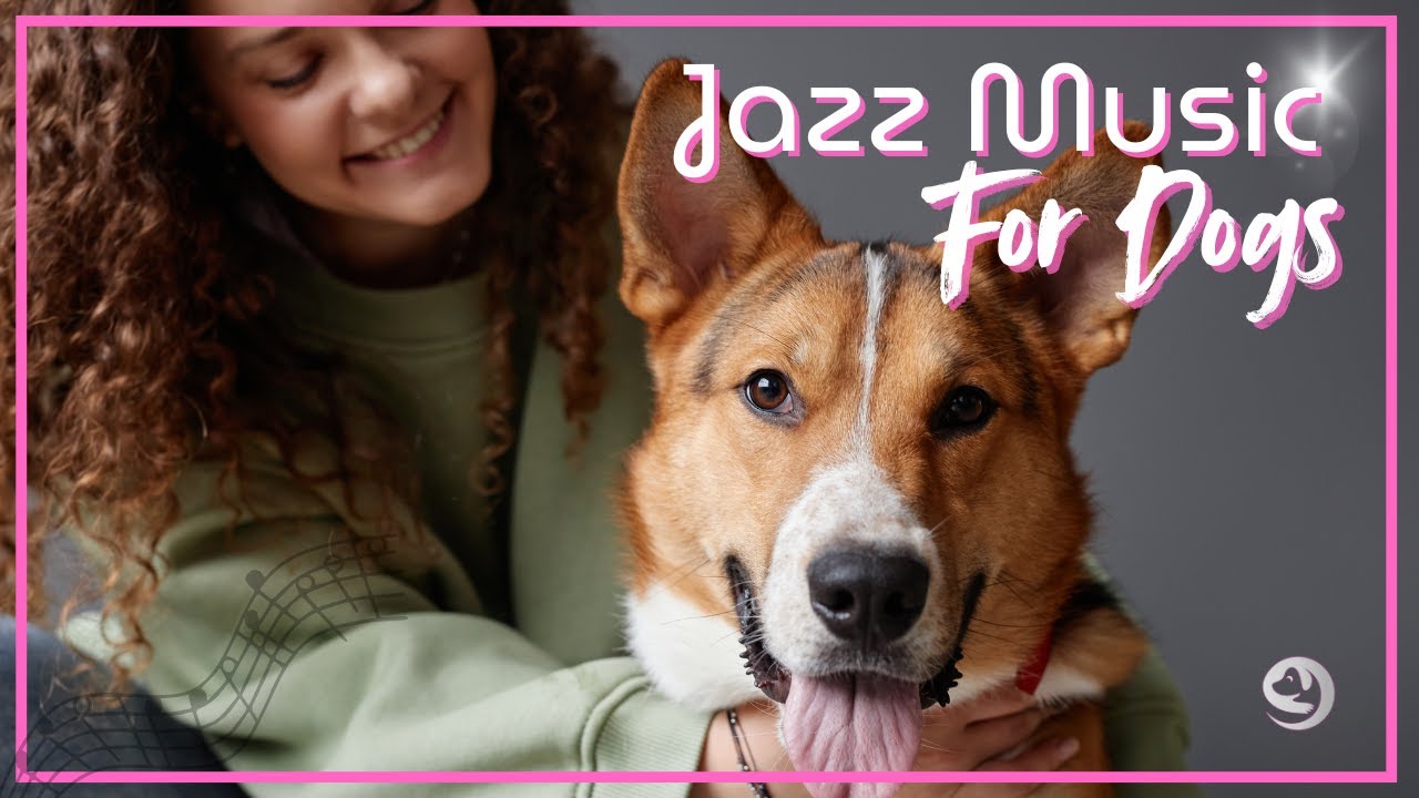 Jazz Music for Dogs - Gentle Relaxing Jazz for Dogs - Anxiety Calming