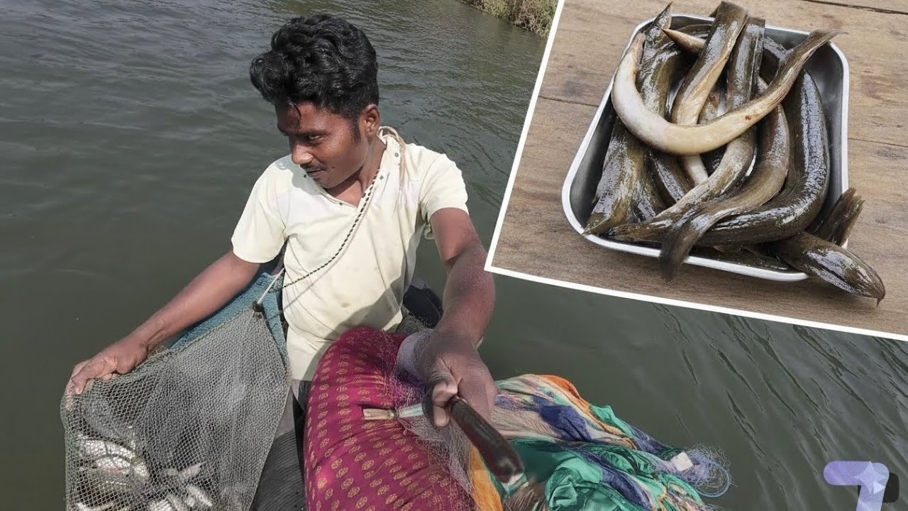नदीवर बनवली वाम माशाची फ्राय😋नदीवर भेटले नमस्ते गोडवे🤗 मासे🐟शिंगटे आणि वाम तळेगाव मच्छी मार्केट